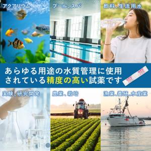 DPD試薬 ミニパック 2袋×10セット 水道...の詳細画像4