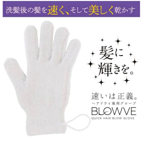 砂山靴下 ヘアドライグローブ BLOWVE ヘアドライ グローブ 6231CA-02