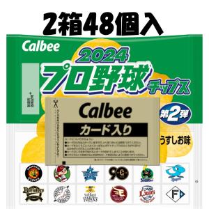 プロ野球チップス 第2弾 2024 1箱 24袋入り : yakyuutippusu : MMK 