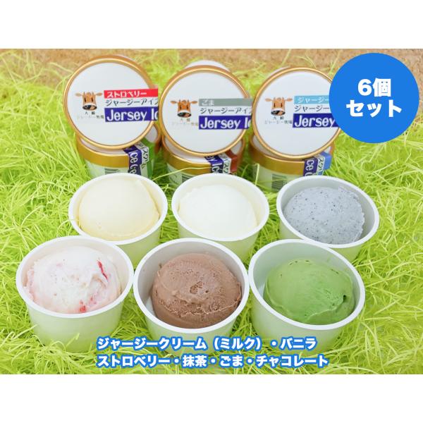 アイス アイスクリーム ジャージー牛 宮城県 お取り寄せ 産地直送 ギフト 6個セット