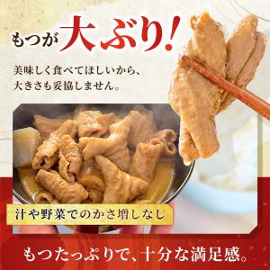 永井食堂 もつっ子 本格派向け もつ煮(ピリ辛...の詳細画像5
