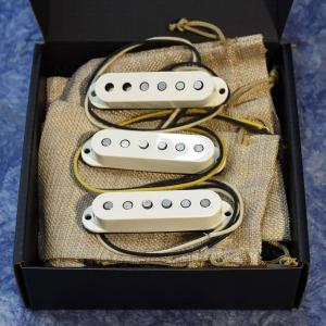 Total Gravy Guitarworks/50's Strat Set w/parchment cover【在庫あり】｜mmo