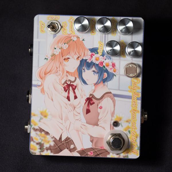 Sound Project "SIVA"/Only flowers know our secret ...