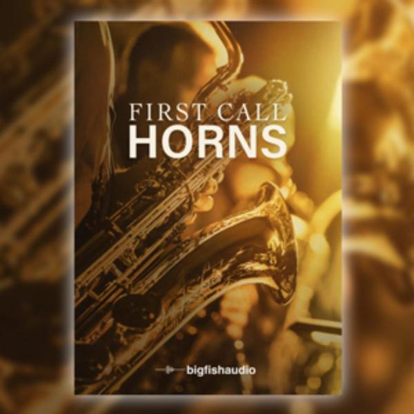 BIG FISH AUDIO/FIRST CALL HORNS【〜04/14 期間限定特価キャンペー...