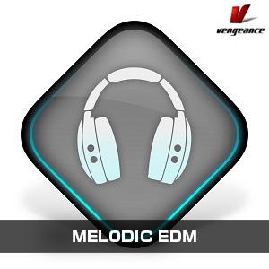 VENGEANCE SOUND/MELODIC EDM【オンライン納品】【在庫あり】｜mmo