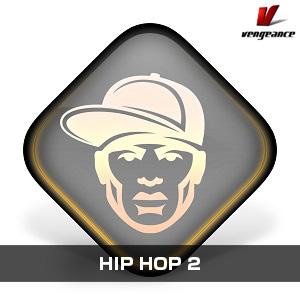 VENGEANCE SOUND/HIP HOP 2【オンライン納品】【在庫あり】｜mmo