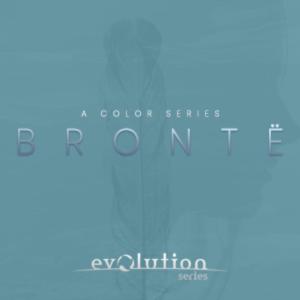 EVOLUTION SERIES/VOCAL COLORS BRONTE【オンライン納品】｜mmo
