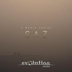 EVOLUTION SERIES/WORLD STRINGS SAZ【オンライン納品】｜mmo