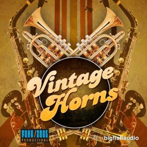 BIG FISH AUDIO/VINTAGE HORNS【オンライン納品】【在庫あり】｜mmo