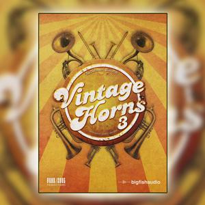 BIG FISH AUDIO/VINTAGE HORNS 3【〜06/20 期間限定特価キャンペーン】【オンライン納品】【在庫あり】｜宮地楽器Yahoo!店