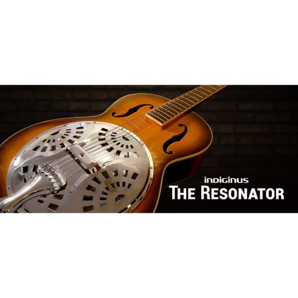 IK Multimedia/The Resonator【オンライン納品】
