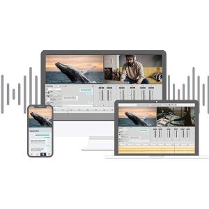 TC electronic/Clarity M Stereo : 宮地楽器Yahoo!店 - 通販 - Yahoo