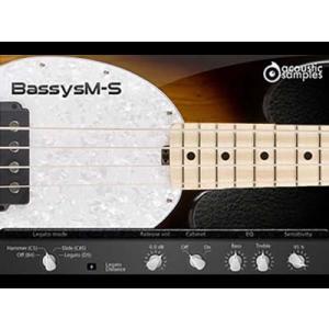 acoustic samples/Bassysm-S