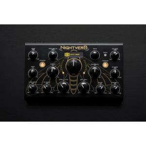 Erica Synths/Black Hole DSP 2【数量限定特価キャンペーン】【在庫
