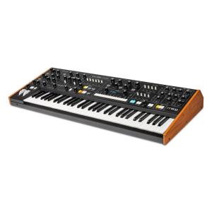 Moog/MUSE【在庫あり】の詳細画像2