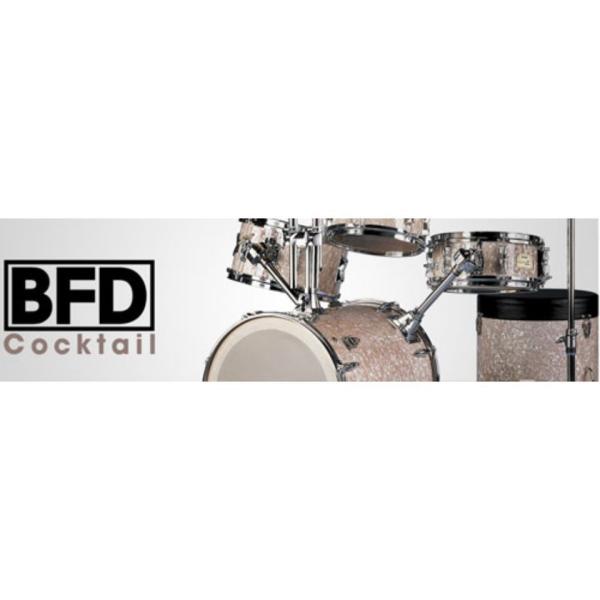 FXPansion/Cocktail【〜05/04 期間限定特価キャンペーン】【オンライン納品】【B...