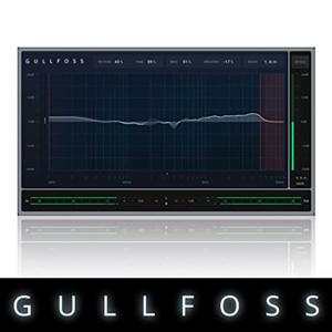 SOUNDTHEORY/GULLFOSS【オンライン納品】【在庫あり】｜mmo