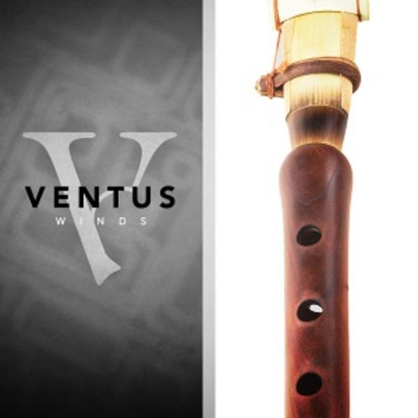 IMPACT SOUNDWORKS/VENTUS WINDS DUDUK【オンライン納品】【在庫あり...