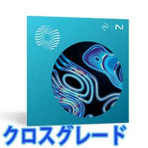 iZotope/Ozone 11 Standard Crossgrade from any paid iZotope product【〜06/30 期間限定特価キャンペーン】【オンライン納品】｜mmo