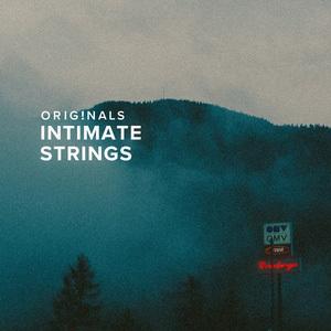 SPITFIRE AUDIO/ORIGINALS INTIMATE STRINGS【オンライン納品】...