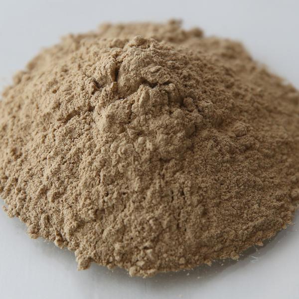 P10倍 アムラパウダー・オーガニック／500g ドライハーブ 粉末 パウダー エキス抽出 スキンケ...