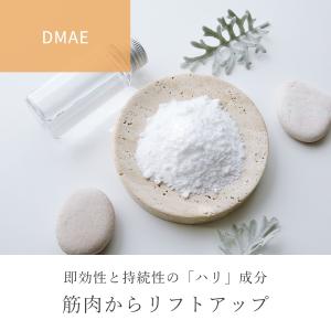 P10倍 DMAE/10g エイジングケア ハ...の詳細画像1