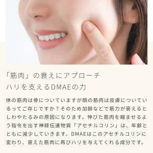 P10倍 DMAE/10g エイジングケア ハ...の詳細画像3