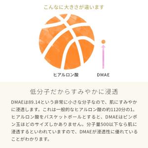 P10倍 DMAE/10g エイジングケア ハ...の詳細画像5