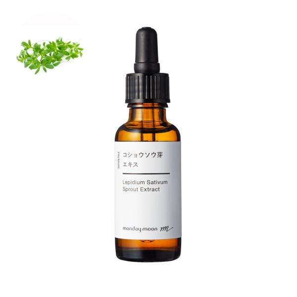 P10倍 コショウソウ芽エキス／30ml くすみ 黒点 化粧水 ローション セラム 美容液 原液 手...