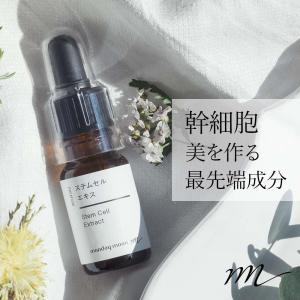 NOWL ノウル ニードルデュアルセラム 30mL : 彩り通販ボニータYahoo!店