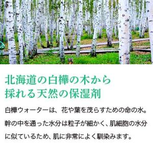 北海道ホワイトバーチウォーター/200ml[ア...の詳細画像2