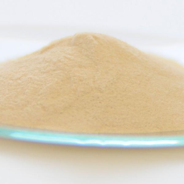 P5倍 カラギーナン（イオタ型）／20g ジェルクリーム フェイスクリーム 乳液 美容液のとろみづけ...