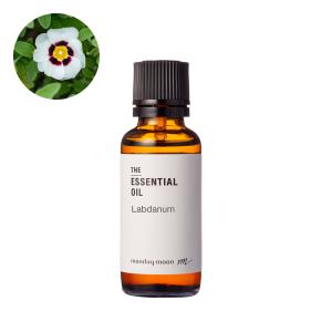 ドテラ ジャスミン 2.5mL ＜数量限定＞ doTERRA Jasminum grandiflorum