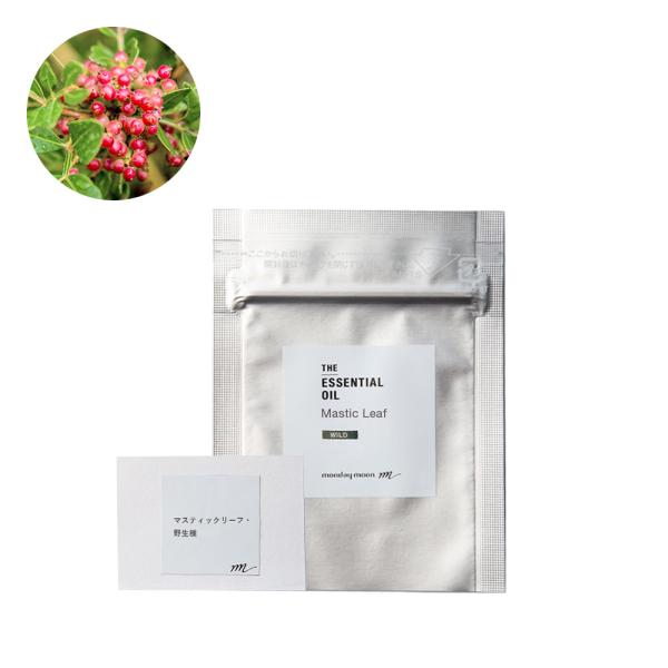 マスティックリーフ・エッセンシャルオイル・野生種／テスター 100% ピュア 天然 植物 無添加 精...