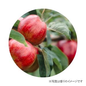 アップル・ナチュラルブレンドエッセンス/テスタ...の詳細画像1