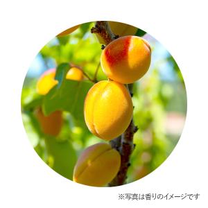 アプリコット・ナチュラルブレンドエッセンス/テ...の詳細画像1