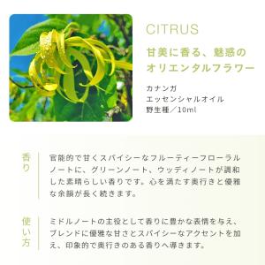 シーズナル・エッセンシャルオイルセット/1個 ...の詳細画像3
