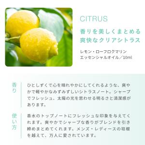 シーズナル・エッセンシャルオイルセット/1個 ...の詳細画像4