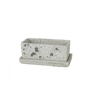 ダルトン(Dulton) 園芸用品 ソリッド プランター レクタングル ラフグレー Sサイズ SOLID PLANTER RECTANGLE R｜mmp-shop