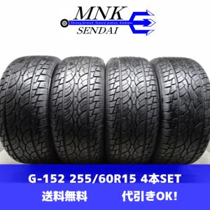 タイヤ単品 1本 《 ナンカン 》 NKユーティリティSP7 [ 255/30R22 95V