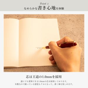 ボールペン 名前入り プレゼント 実用的 男性...の詳細画像3