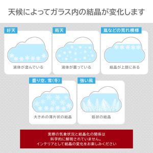 名入れ ストームグラス 湿度計 インテリア お...の詳細画像2