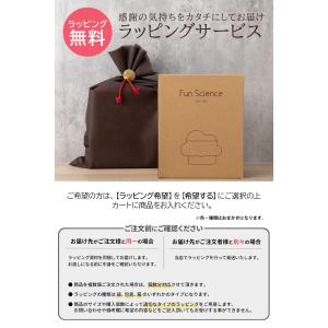 名入れ ストームグラス 湿度計 インテリア お...の詳細画像5
