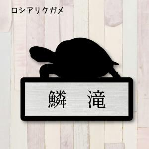 表札【ロシアリクガメ】 ＬＬ かわいい ネームプレート ペット 爬虫類 亀 カメ グッズ マンション アパート 戸建て 取付 簡単 ギフト 彫刻 宅配ボックス ポスト