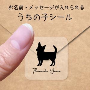 うちの子 シール 【 チワワ スムース 】 お名...の商品画像