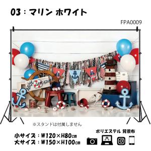 撮影用 背景布 犬 猫 かわいい サマー 海 ...の詳細画像3