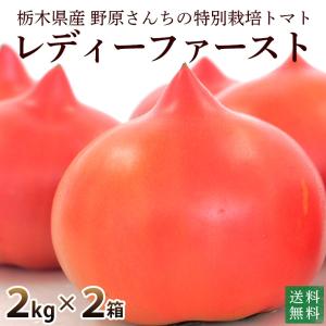 産地直送　新鮮トマト（ファーストトマト）４ｋｇ【送料無料】無化学肥料・農薬7割減の特別栽培　栃木県産｜moa