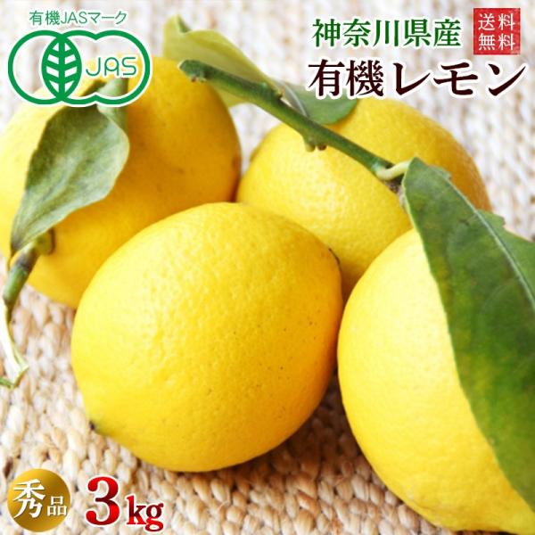 有機レモン３ｋｇ・神奈川県小田原産有機栽培（有機ＪＡＳ）秀品【送料無料】