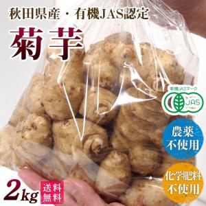 オーガニック 新物【2025年産】有機菊芋5kg（きくいも）洗い