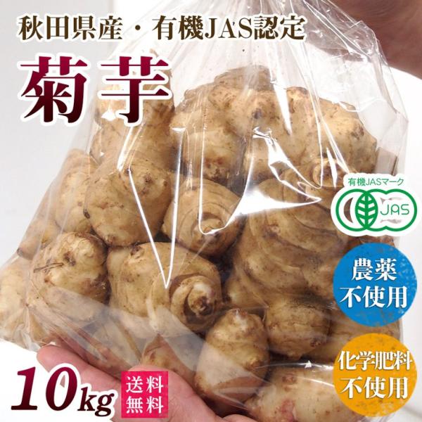 新物【2025年産】有機菊芋１０ｋｇ（きくいも）洗い・オーガニック・有機ＪＡＳ・農薬・化学肥料不使用...